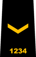 شارة رتبة