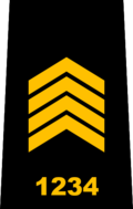 شارة رتبة