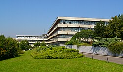 حرم الجامعة