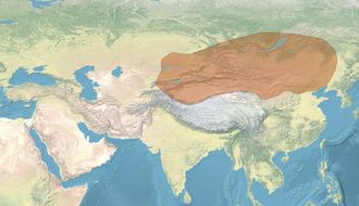 آثار الشيونغنو