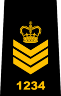 شارة رتبة