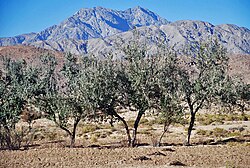 عمارة بلوشستان