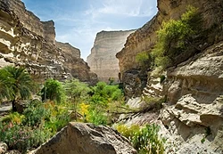 مهرغاره