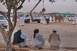 النشاط التجاري في بوهامور