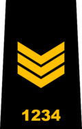 شارة رتبة