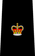شارة رتبة